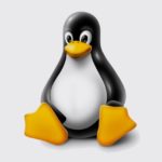 Linux. Scoperta una importante vulnerabilità in SUDO.