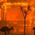 Incendi in Australia: attacco skimming a sito web che raccoglie donazioni