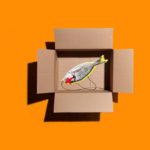 Phishing: ennesima falsa e-mail di Amazon
